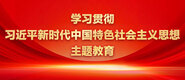 哥哥的屌好大好想要学习贯彻习近平新时代中国特色社会主义思想主题教育_fororder_ad-371X160(2)